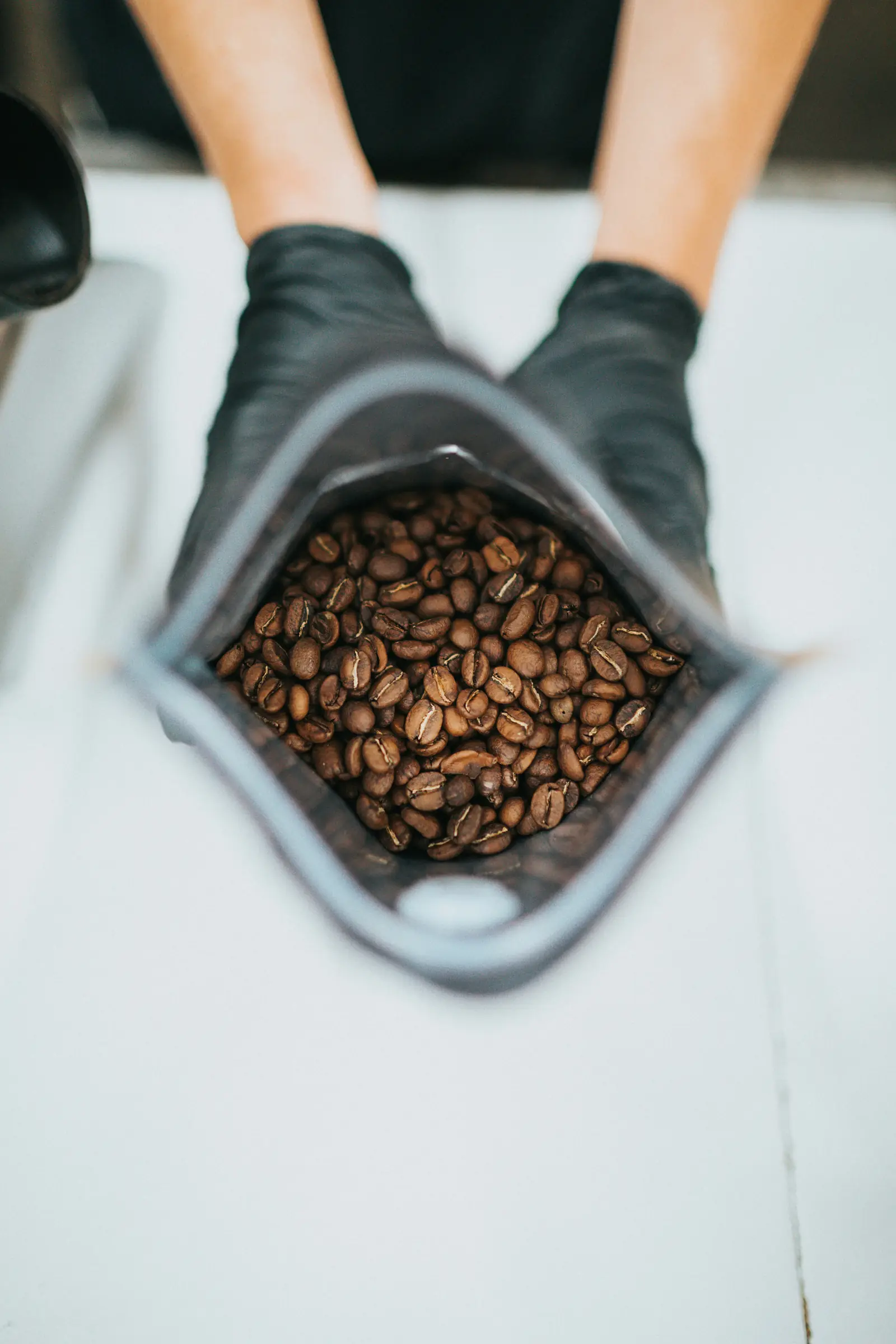 Fresh Beans